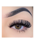 Close-up of an eye with long, dark eyelashes and a well-groomed eyebrow.