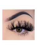 Ember Lash