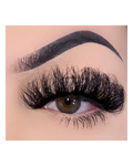 Firebird Lash