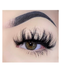 Muse Lash